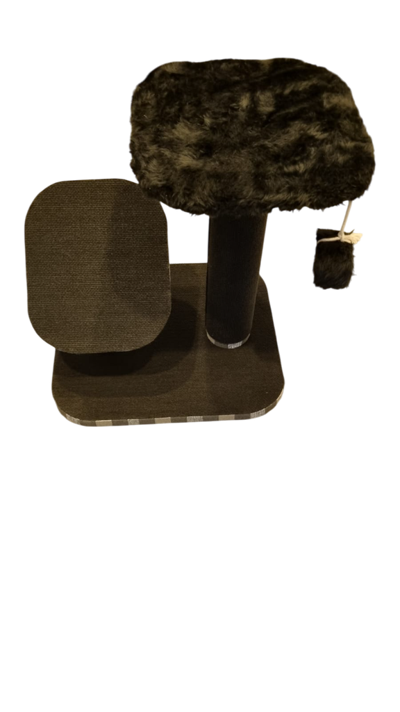RASCADOR RAMPA 50cm. (010)