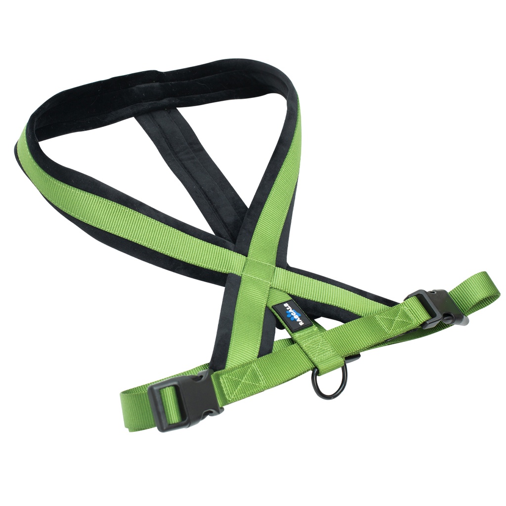 ARNES ACOLCHADO PREMIUM VERDE XS/S 30-45cm.