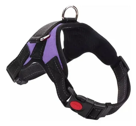 ARNES ACOLCHADO PET DOG L (70-90 cm)