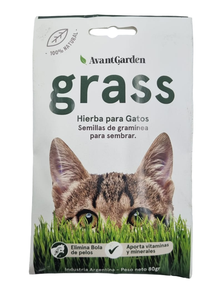 SEMILLAS HIERBA GATERA 80gr AVANT GARDEN